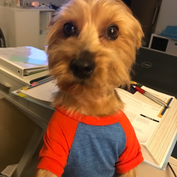 Meet your Posher - Picture 6 of 12